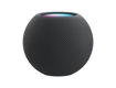 Picture of Apple HomePod Mini - Space Gray