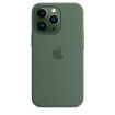 Picture of Apple iPhone 13 Pro Silicone Case with MagSafe - Eucalyptus