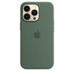 Picture of Apple iPhone 13 Pro Silicone Case with MagSafe - Eucalyptus