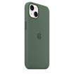 Picture of Apple iPhone 13 Silicone Case with MagSafe - Eucalyptus