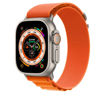 Picture of Apple Alpine Loop for Apple Watch 49/45/44/42mm Large - Orange