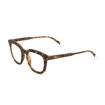 Picture of Barner Osterbro Screen Glasses - Tortoise