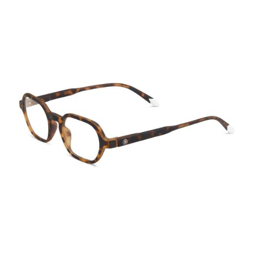 Picture of Barner Sodermalm Screen Glasses - Tortoise