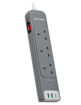 Picture of Ravpower 3 Outlet Power Strip UK Vsn 3M with USB Port - Gray