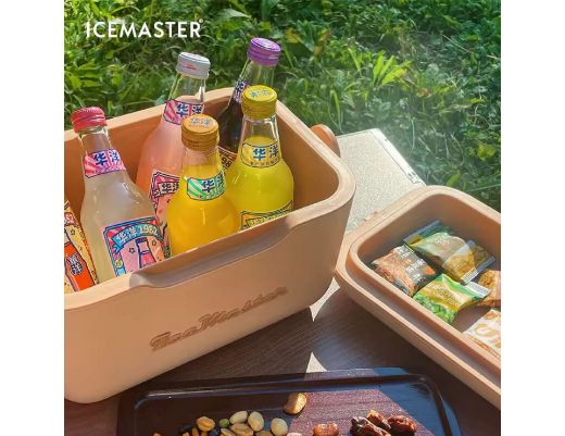 Picture of IceMaster Cooler Box 12L with Handle and Strap Portable - Tan